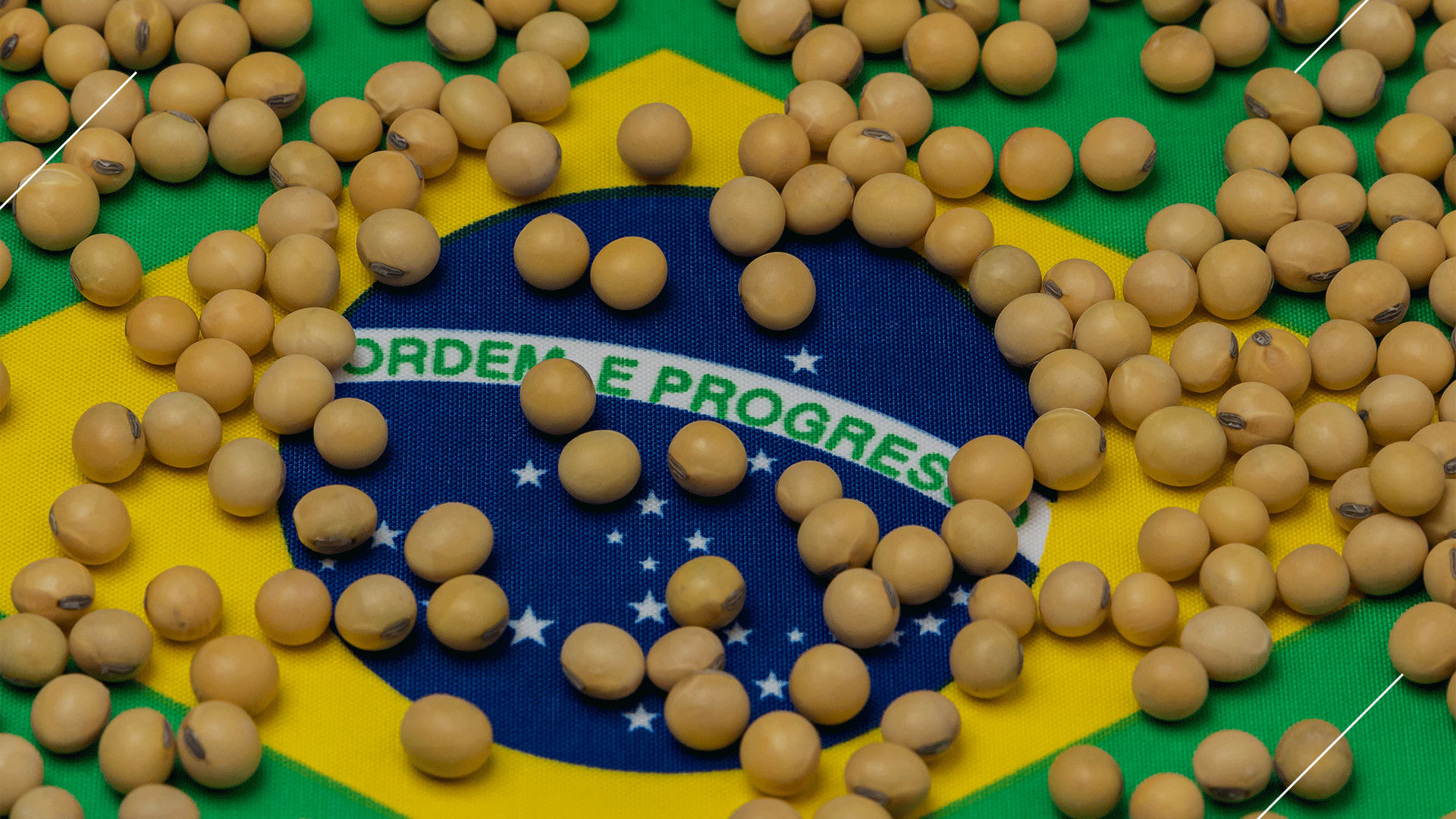 Imagem Colhendo o que plantamos: O Brasil e sua influência global no preço dos grãos